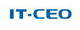 IT-CEO