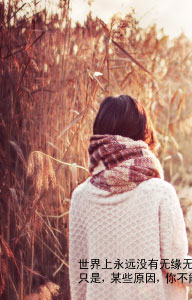 梧桐那么伤-谨以此书