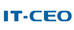 IT-CEO