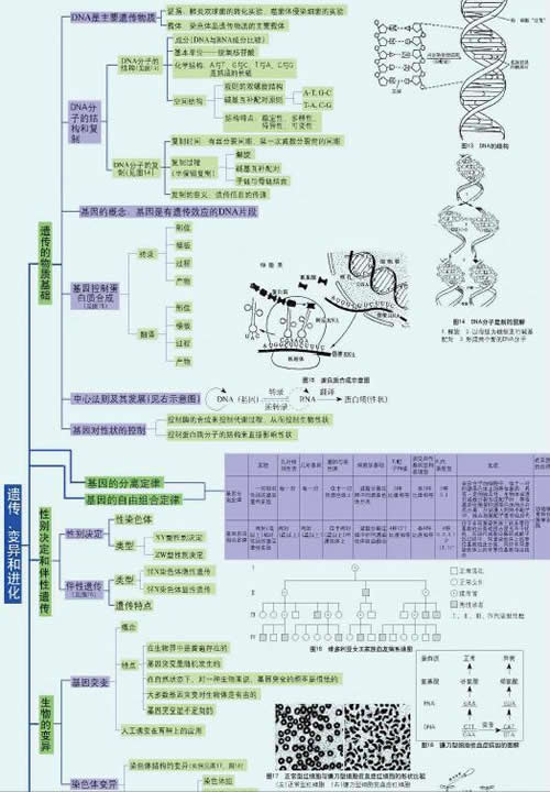 高中生物学习方法