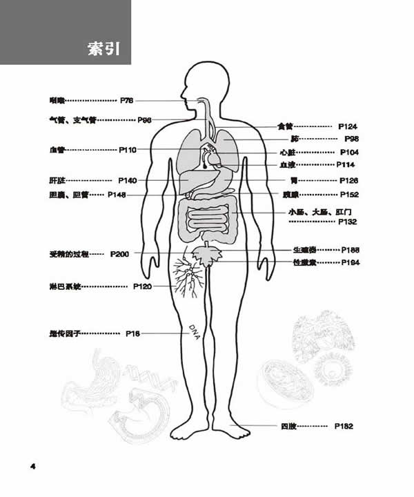 《全图解人体说明书》相关信息