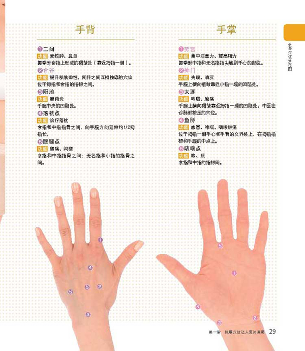 全身穴位分布图(10)