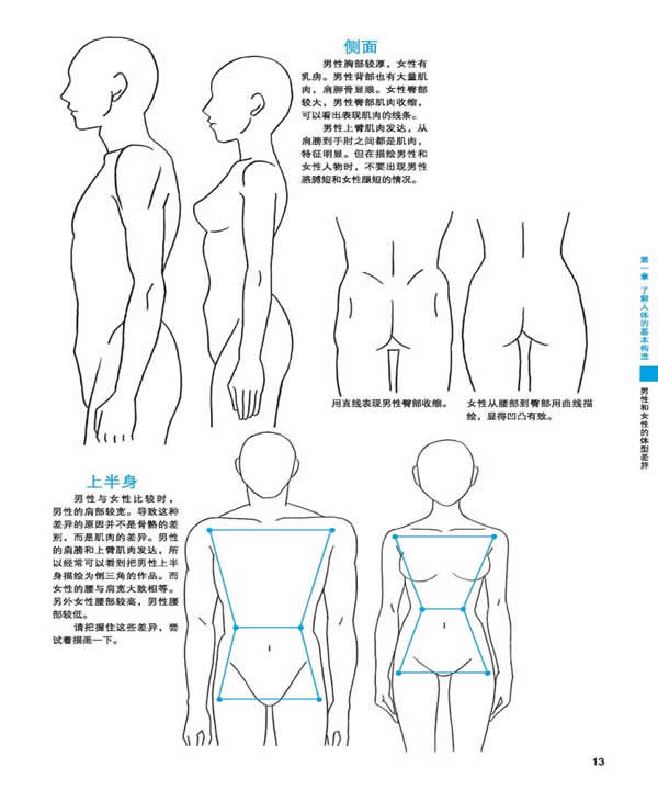 <em>男性</em>和<em>女性</em>的<em>体型</em>差异(2)