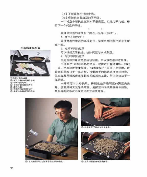 7 咖啡生豆的挑选与 手选 技巧(7) - 第1章 咖啡豆