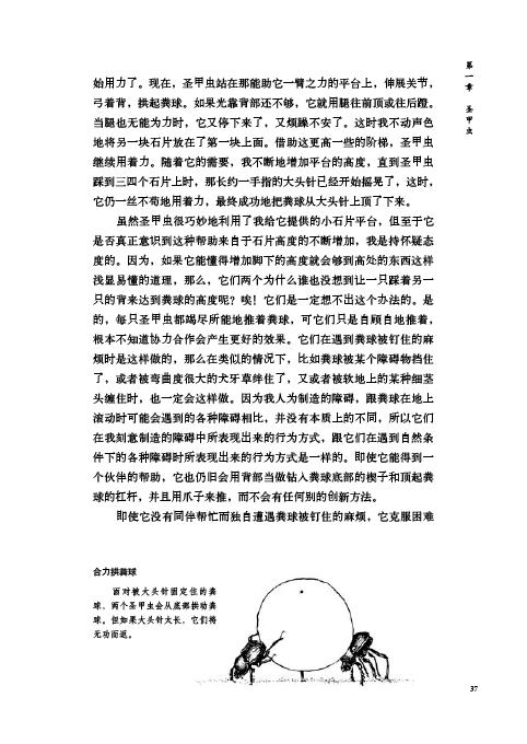 20110114135311_5_c.jpg