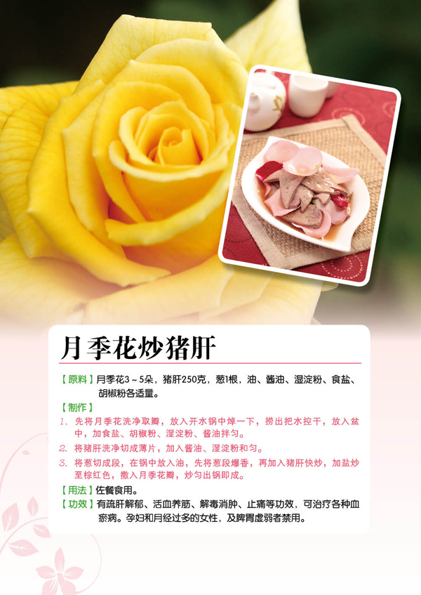 图(12) - 《<em>花养女人幸福一生</em>》图片 - <em>花养女人</em>