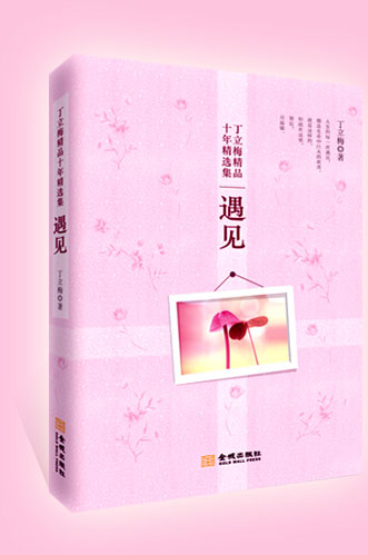 遇见(著名作家丁立梅作品十年精选集之二,清新、自然、纯朴的文字,感动着众多读者的心!沁人心脾、心灵鸡汤式的智慧哲理让人回味无穷!)