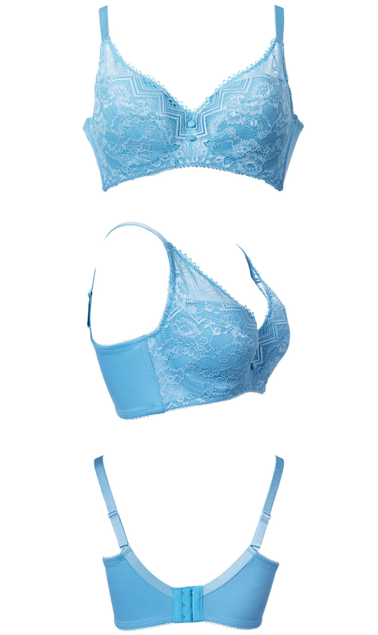 体会 调整型塑身赏花细语软棉大杯围胸罩文胸 bq0400 浅蓝色 75d
