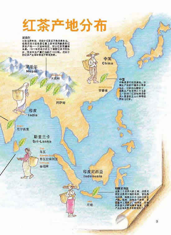 20101009124127_5_c.jpg